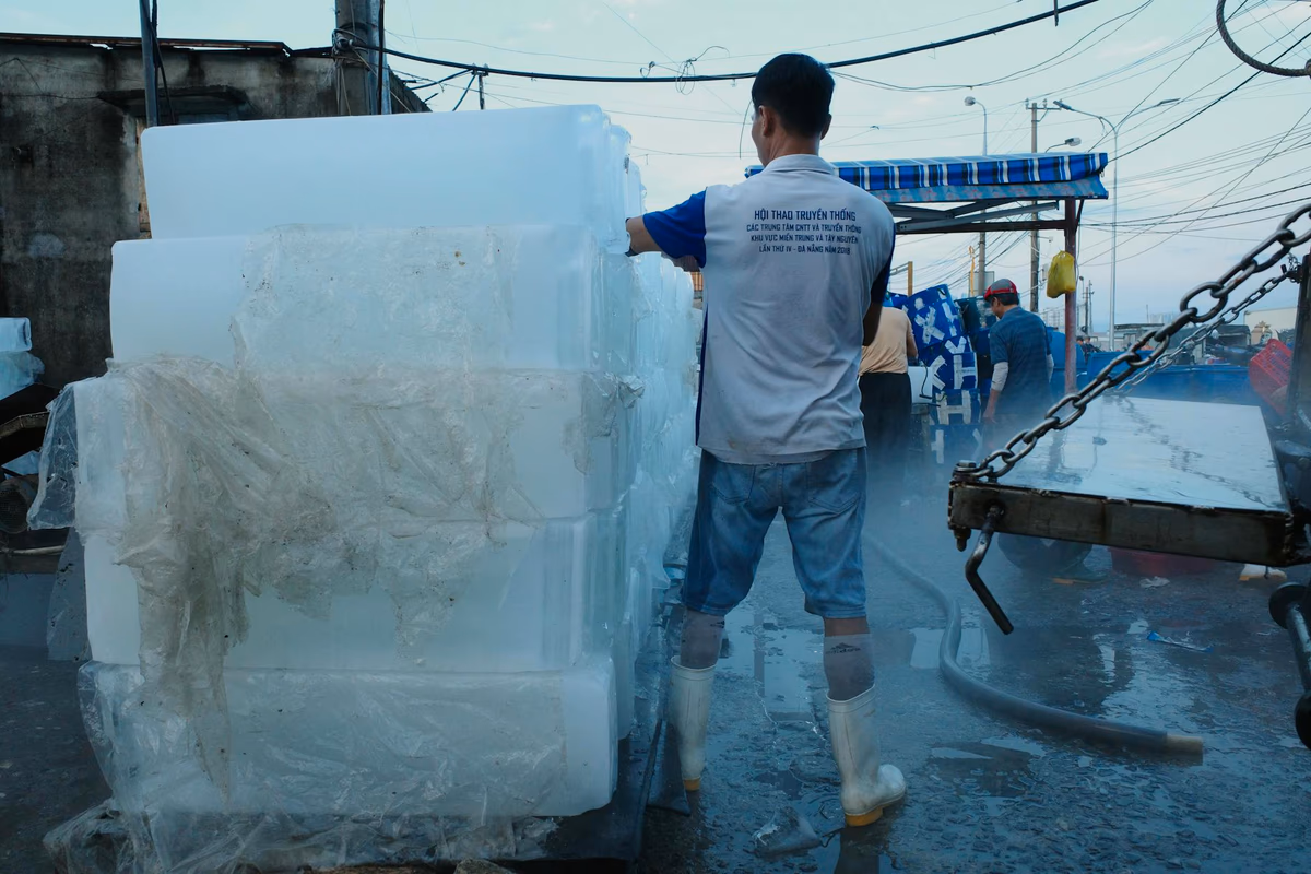 Hút Bể Phốt Giá Rẻ Phường Cửa Nam - Chuyên Nghiệp, Uy Tín